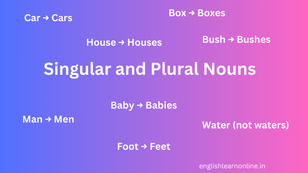 Singular and Plural Nouns